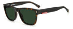 Sunglass frames-DSQUARED-D2 0004/S