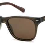 Sunglass frames-FOSSIL-FOS 3149/G/S