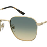 Sunglass frames-PIERRE CARDIN-P.C. 6896/S