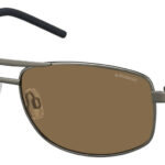 Sunglass frames-POLAROID-PLD 2040/S