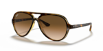 Sunglass frames-RAY BAN-4125
