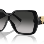 Sunglass frames-TIFFANY-4219