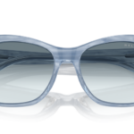 Sunglass frames-RALPH LAUREN-5310U