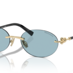 Sunglass frames-TIFFANY-3104D