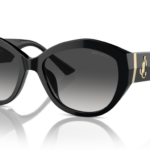 Sunglass frames-JIMMY CHOO-5013U