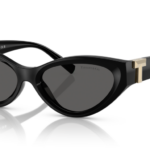 Sunglass frames-TIFFANY-4225U